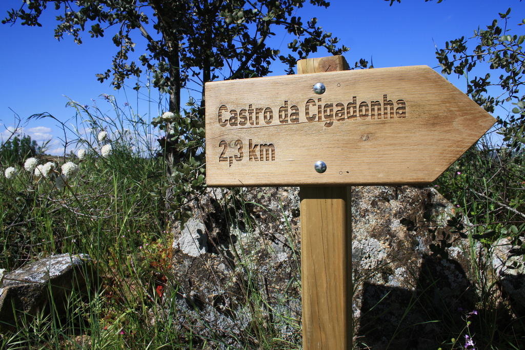 Casa De L Barrio Guest House Picote Eksteriør bilde